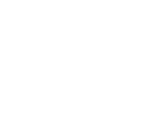 Logo Unreal Engine 5 blanc